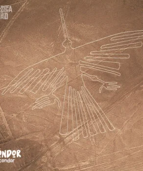 Nazca Line Condor Bird