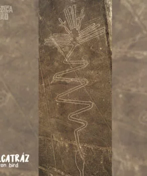 Nazca Line Alcatraz Heron Bird