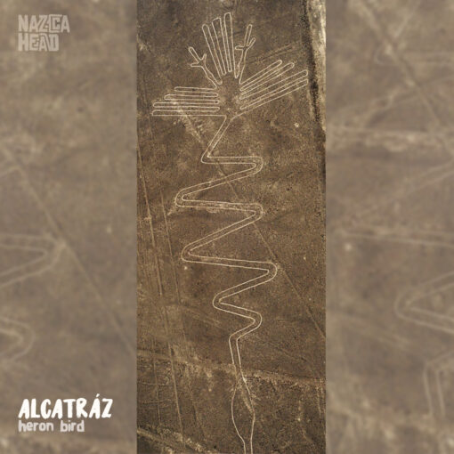 Nazca Line Alcatraz Heron Bird