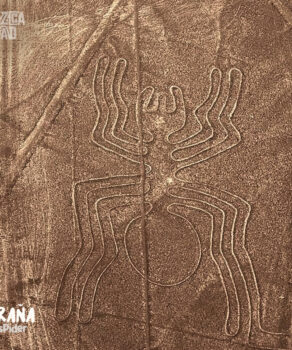 Nazca Line Spider Araña