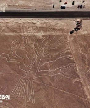 Nazca Line Tree Árbol