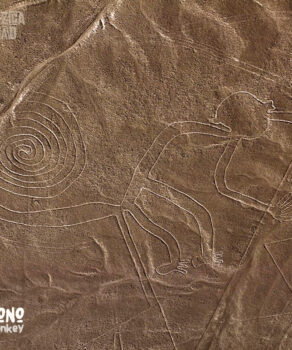 Nazca Line Mono Monkey