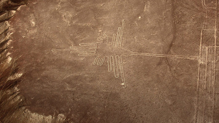 Nazca Lines Hummingbird