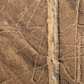 Nazca Lines Whale