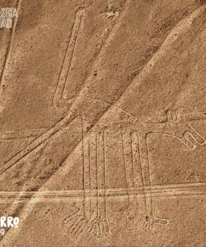 Nazca Line Perro Dog