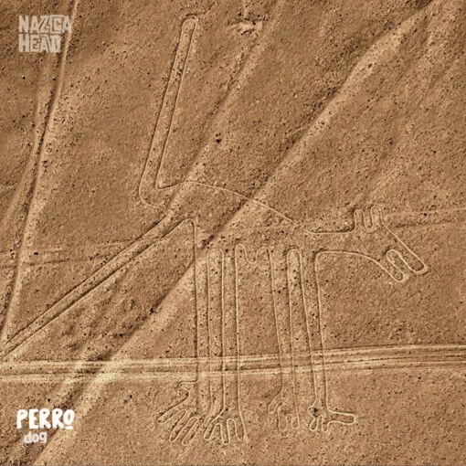 Nazca Line Perro Dog